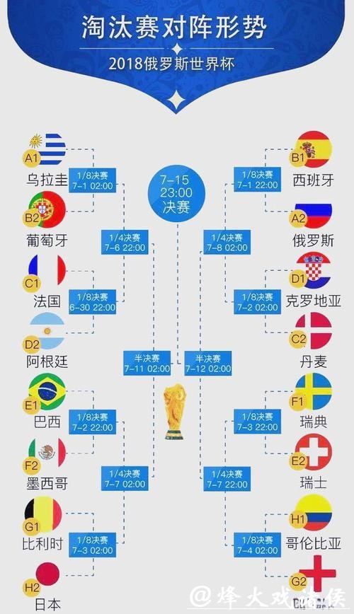 全面解析世界杯比赛结果